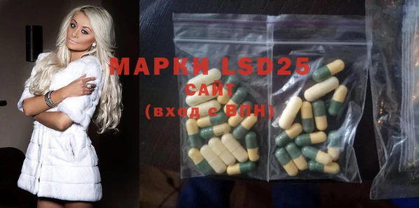 шишки Аркадак