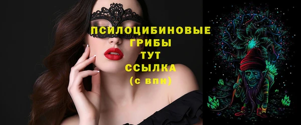 крисы Арсеньев