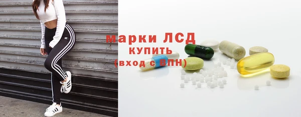 шишки Аркадак