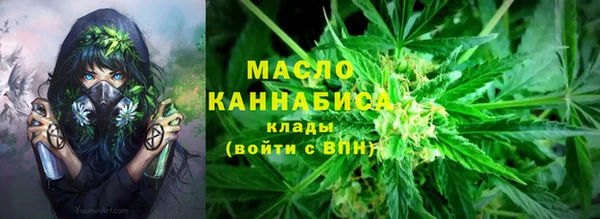 шишки Аркадак