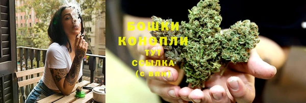 шишки Аркадак