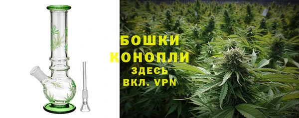 шишки Аркадак